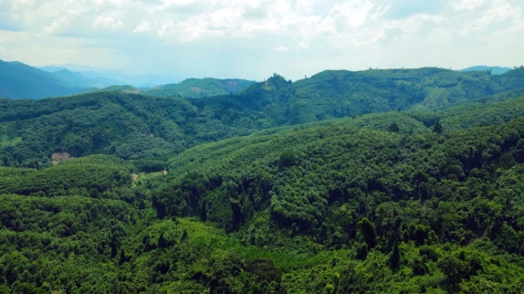 Quảng Nam p’too p’zương đhanuôr k’coong ch’ngai oó dzợ chóh keo đoọng xăl chóh crâng n’loong ga mắc