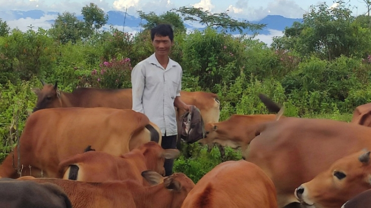 Quam kháo phổng Tày Bắc thứ 5 mự  9 căm bườn 03 pì 2023