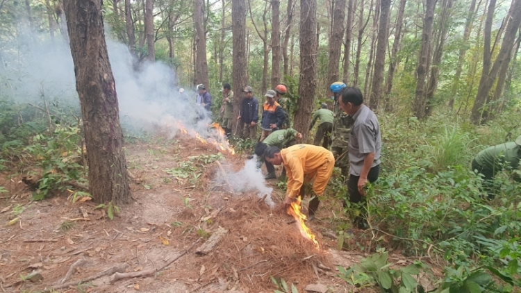   Gia Lai: N’hao trong njrăng n’gang ŭnh sa bri