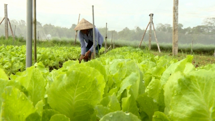 Dự án bhrợ cha Trà Vinh zooi bấc pr’loọng đong đhanuôr Khmer, pân đil lum pr’ắt tr’mông zr’năh k’đhap bơơn pa liêm pa crêê pr’ắt tr’mông