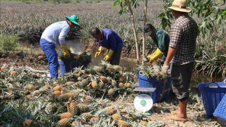 ពត៌មាន ម៉ោង​ ៦