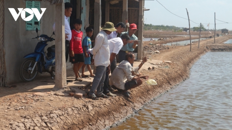 ខេត្តសុកត្រាំង៖ ការចិញ្ចឹម Artemia ជួបការលំបាកកាន់តែខ្លាំងឡើង។