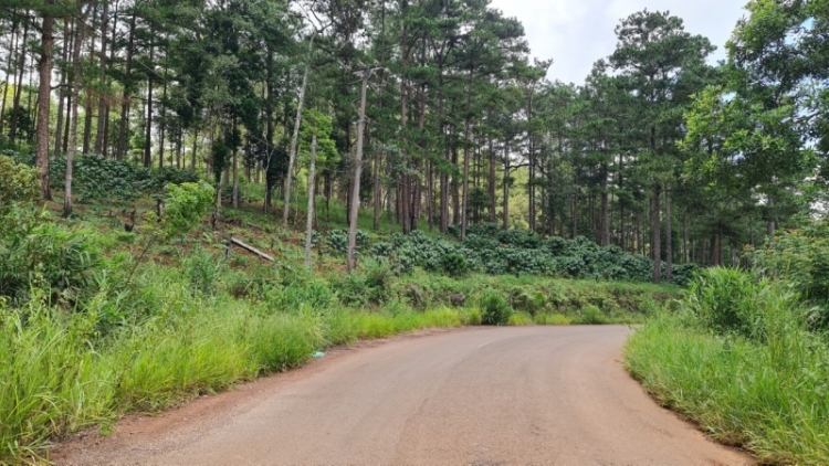 Lâm Đồng rgâl nkra nău nchrăp kan sŏk dŏng quặng bôxit yor khuch âk tât bri.