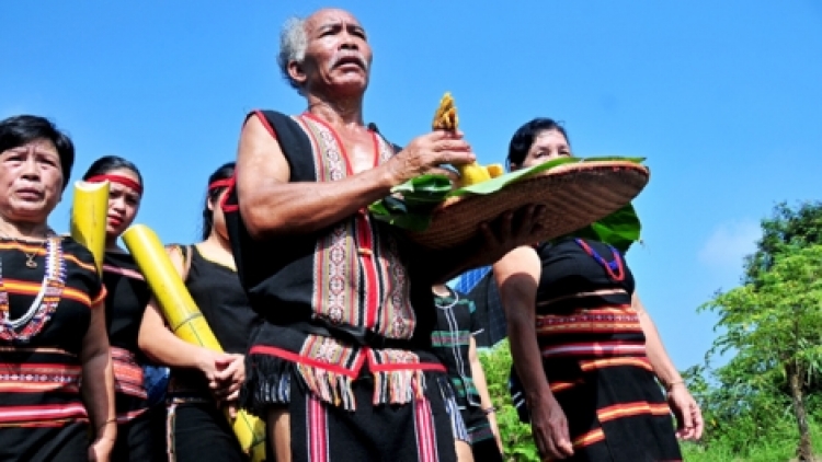 Rủ nhau đi hái rau rừng