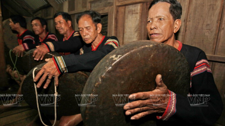 Wa Hồ mờ Tây Nguyên