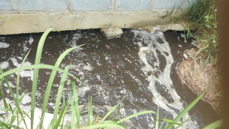 Dak Lak: Pơsir hĭ ia ƀâo brŭ mơng rông un