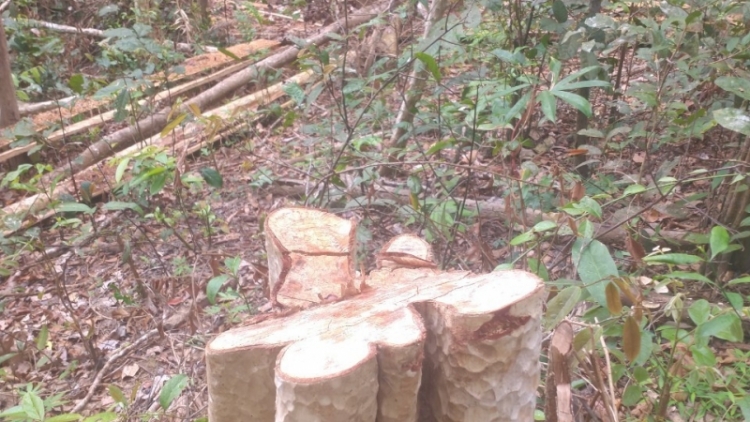  Dưr Lăn Dap Kngư, arăng lŏ dơ̆ng bi rai dliê kjham