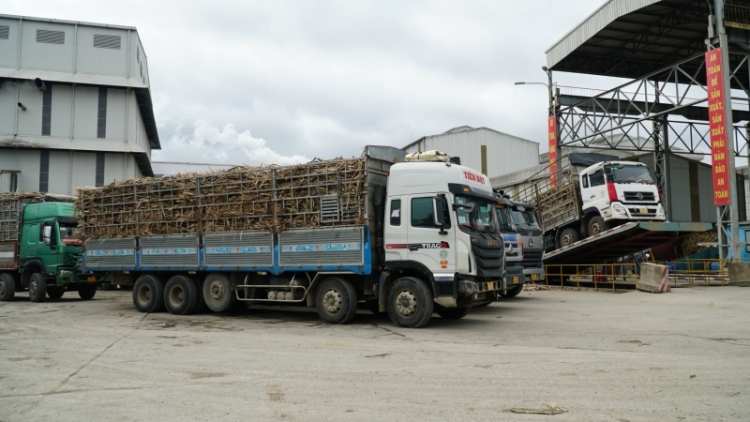 Kơtưn wai lăng rơnoh pơgiăng gơnam