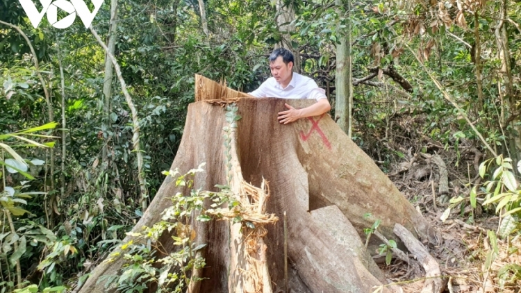 Ngai col pa hư bấc n’loong ga mắc cóh crâng g’mrâng Bình Định?