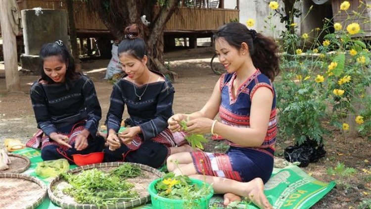 Rủ nhau đi hái rau rừng