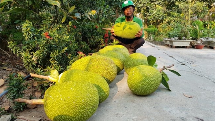 ពត៌មាន ម៉ោង ១១