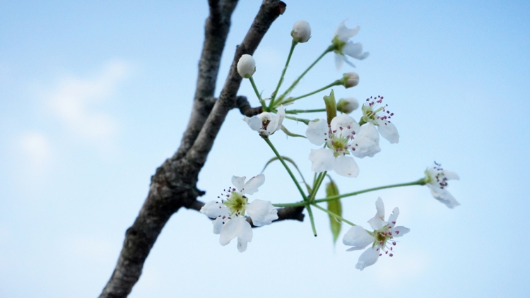 T'RUIH PA XƯL T'NGAY 1/5/2023