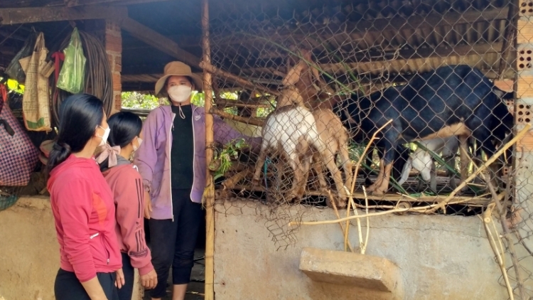 Dak lak: Hơmĕng tơplih ‘lơ̆ng tơdrong jang sa ăn drŏ kăn kon kông