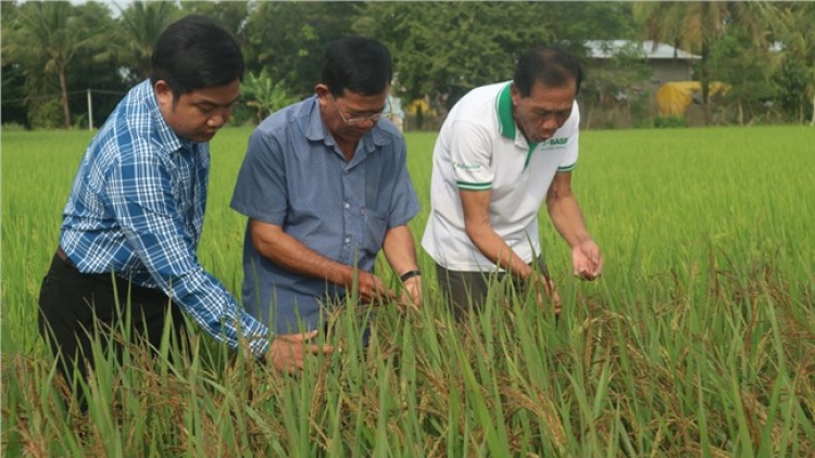 ជនរួមជាតិខ្មែរសុកត្រាំងសាមគ្គី ជួយគ្នាអភិវឌ្ឍសេដ្ឋកិច្ច។  