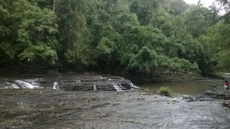 Bài ca thống nhất