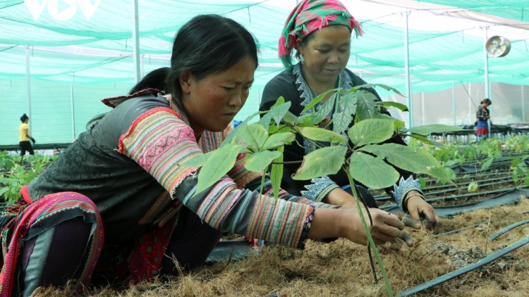 Chương trình phát thanh quam Tay thứ 4 mự 03 bườn 5 pì 2023 