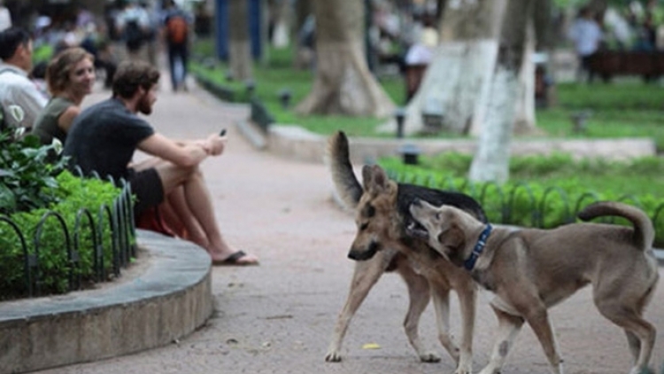 Gia Lai: 4 khay kơp dơn geh 5 nŭih khĭt yor ji ndrăng