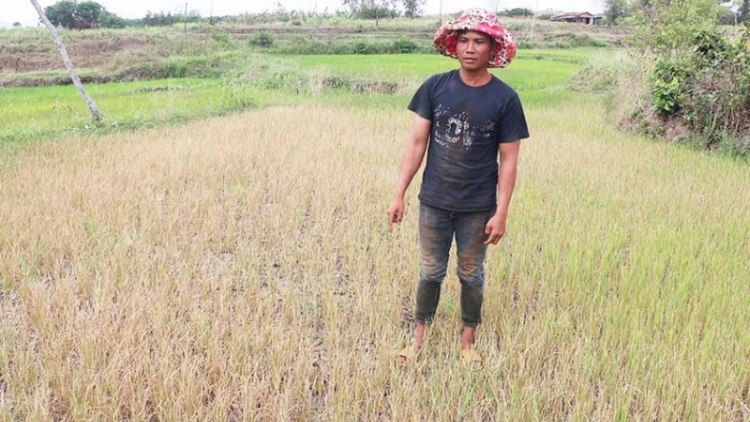 Kual Dap Kơdư prăp lui bruă pơgang phang kơƀah ia