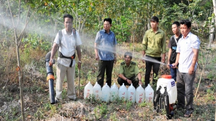 ខេត្តអាងយ៉ាងប្ដេជ្ញាមិនទុកឲ្យកើតឡើងករណីភ្លើងឆេះព្រៃនូវរដូវប្រាំង ។