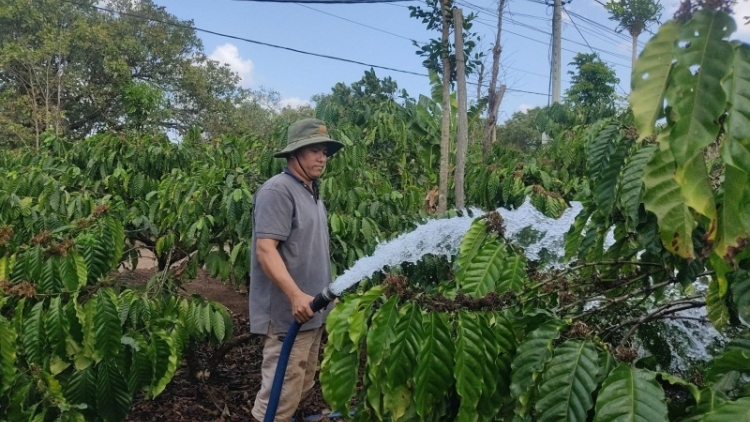 Tây Nguyên kơchăng tơjră tô̆ pơđang