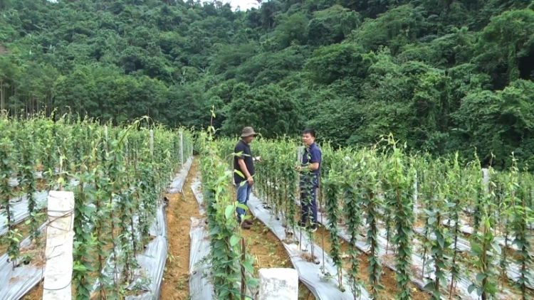 Tsaz yênhx nta suôz luk Hmôngz hnuz 12-4-2023