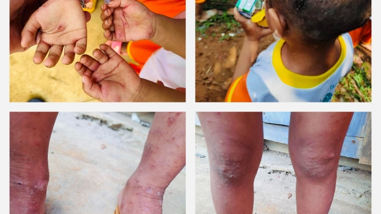 Quảng Nam: Moon  pa rơơt đhr’năng cr’ay bhih pa đhị p’niên da ding ca coong