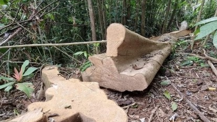 Quảng Trị: Bơơn lêy pa hư crâng cóh chr’val Tà Long, chr’hoong Đakrông