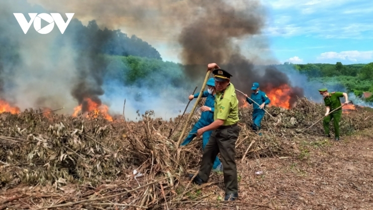 Quảng Trị zêl lâng cha groong rooh crâng hân noo xơơt