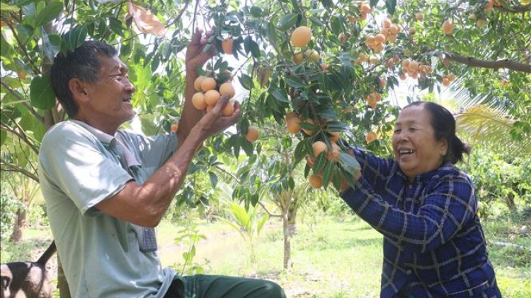 PHUN THANH TRÀ BA JIEN TAME TANI TANAT DI VINH LONG