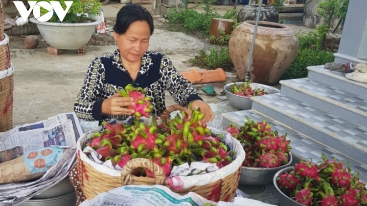 តើទិសដៅណាសម្រាប់ផ្លែស្រកានាគមានតម្លៃស្ថិរភាព?