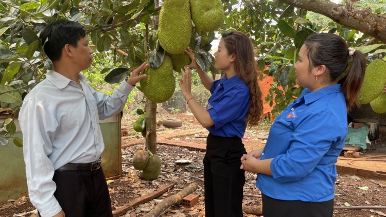 Krơh niam bi Kpă Meo lơh gơ rề uă srơh sơn đờm mut lơh broă