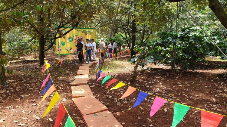 Nău tât khuch bâh nău bu tuh n’hanh ntŭk tăch rgâl rnôk rnoh neh sầu riêng hao âk