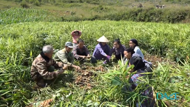 Linh hoạt giải pháp giảm nghèo ở từng địa phương miền núi