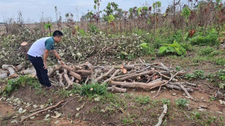 Hên rơnó ôh tá châ hên – yă chu rơpâ, kuăn pơlê pêi chiâk deăng Gia Lai djâ dêi rơpó ko dêi loăng plâi hôt