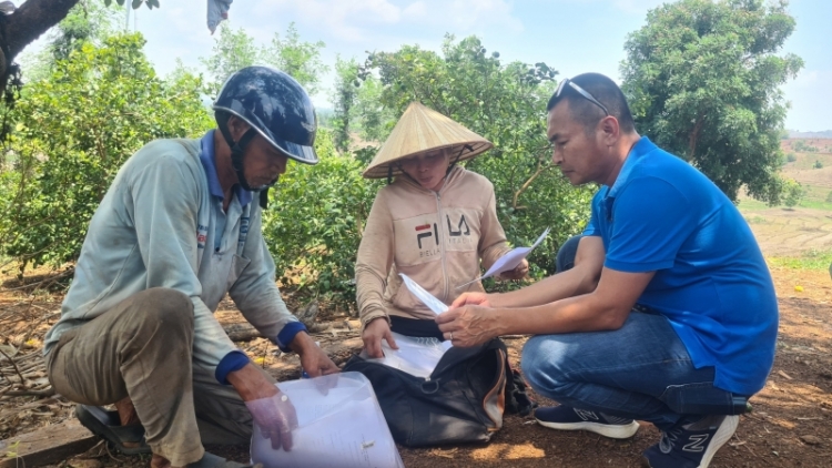 Gia Lai: Hêng hôu, xâu xua ối a kơdâm trăng on tơhrik khía hrá châ chêl thiê̆n