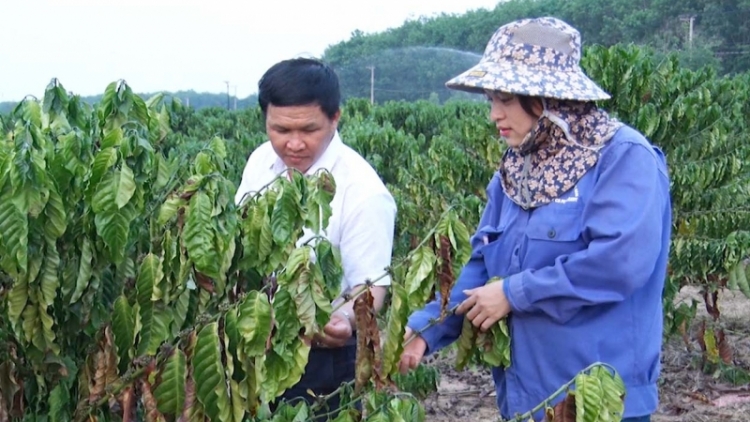 Tô mơdrăng tơdjâk troh rêh ối, pêi chiâk pêi deăng