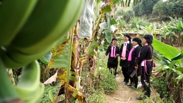 Bu ur Đảng viên rnoi Dao-20 năm leo trong khai hoang