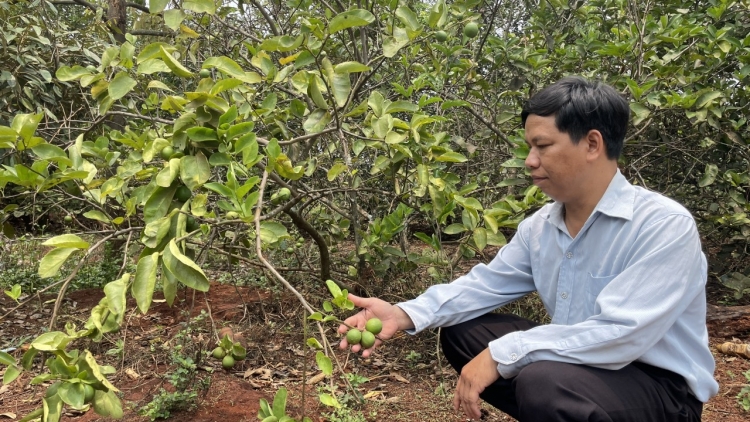 Kpă Meo ngế djâ troăng ahdrối tung mơhnhôk pêi cheăng