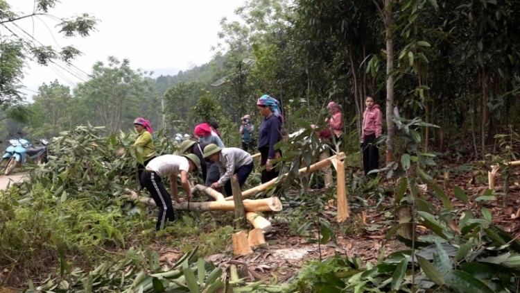 Chương trình phát thành quam Tay thứ 2 mự 22 căm bườn 5 pì 2023