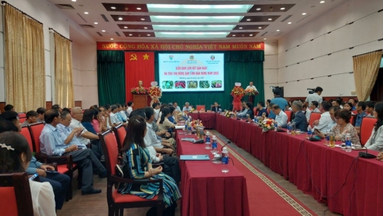 Dak Nông  pơčrong sai ĕp anih ngă hrom sĭ mơdrô boh troh đang hmua