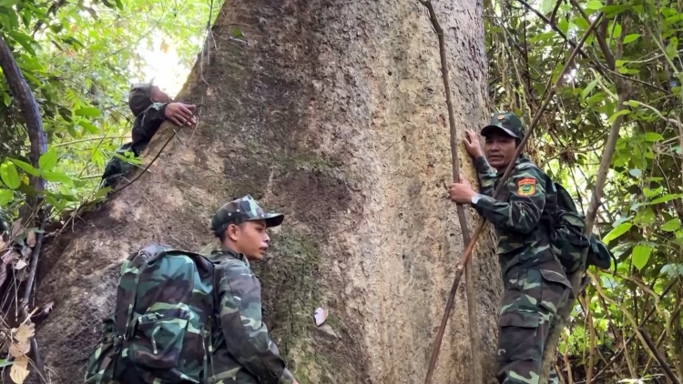 Quảng Nam t’vaih c’lâng bhrợ cha đanh mâng za nươr tơợ crâng