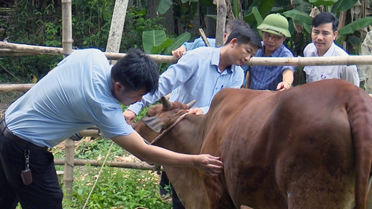 Chr’hoong Tuyên Hóa, tỉnh Quảng Bình: Xay moon pr’luh cr’ay bhih pa coh t’rí, c’rooc đhị chr’val Văn hóa