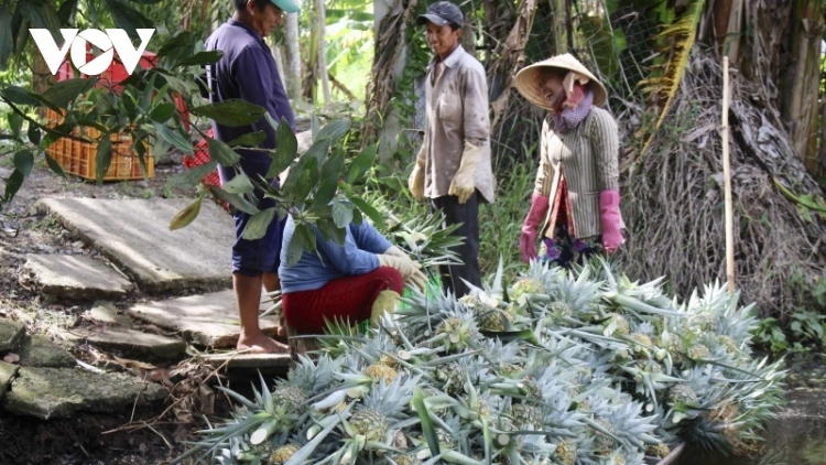 BHAP BINI KHMER TRA VINH MBEIK DREI YAM TAGOK MENG SALIH PHUN PALA