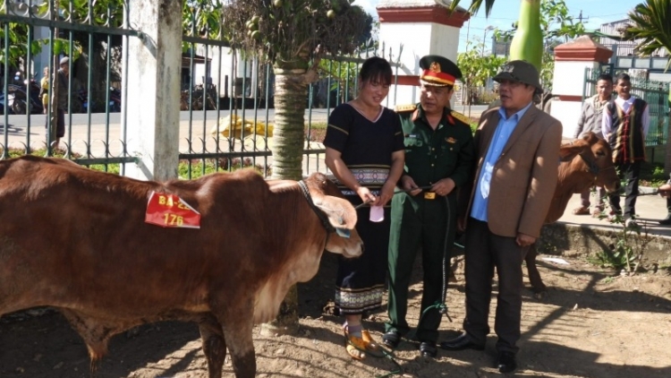 Ƀô̆ đô̆i yak hadoi hăm kon pơlei hin dơnuh