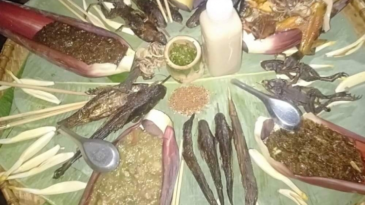 Dak Nông: Hruê knăm Dhar kreh – Mjuăt asei mlei dŭm djuê ana kdriêk Krông Knô thŭn 2023