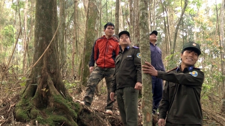 Quảng Nam: Pa đhêy pay đoọng zên zooi k’đhơợng, zư lêy crâng a bhuy đhị apêê zr’lụ thủy điện