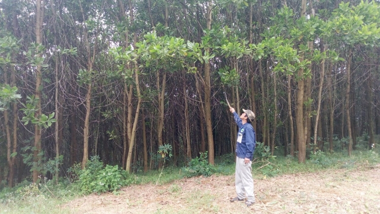 Phước Sơn t’hước ooy cr’noọ gluh n’đăh xa nay chr’hoong đharựt