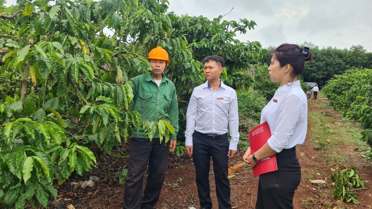 Gia Lai: Kon pơlei pơ̆n pơm pơdrŏng, tơring hơrih xa rai năr rai hơtŏk 'lơ̆ng