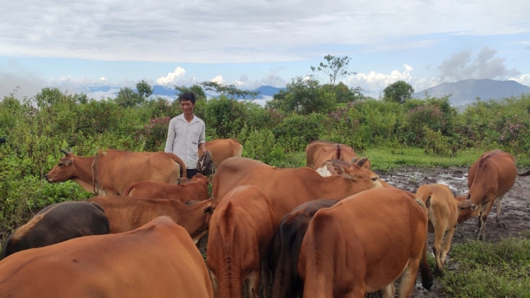 Bơngai chông trong tơgŭm kon pơlei La Hủ sut dơnuh hin