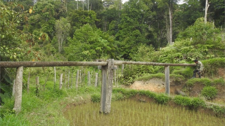 URANG XƠ ĐĂNG ENG DREI NGAK JALAN BA IA TAME HAMU HU RAIDIUK TREI SIR